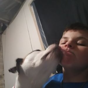 Meet your Posher, Brandon